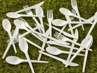 CUTLERY (COMPOSTABLE)